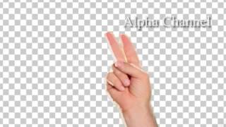 Hand Gestures - Peace Sign - Stock Footage | VideoHive 4641785
