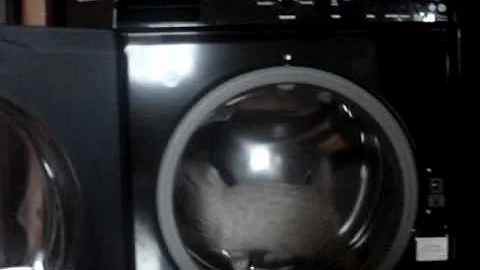 Watch the video about Highland Lynx kitten in washer