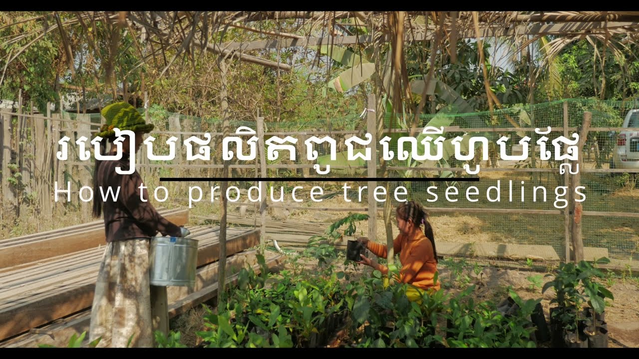 nursery establishment YouTube