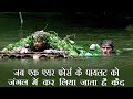 Rescue dawn 2006 movie explained in hindi and urdu