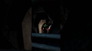"IM GONNA DI-" #vrgame #gorillatagvr #roblox #shorts #questgames #vrhorror #scarybaboon