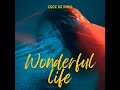 Wonderful life   cece de rico