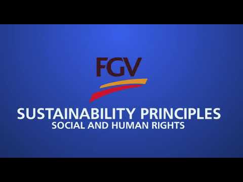 FGV COMPANY VIDEO