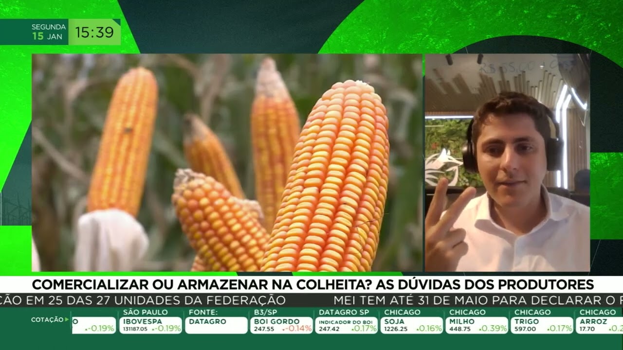 Comercializar ou armazenar na colheita? As dúvidas dos produtores