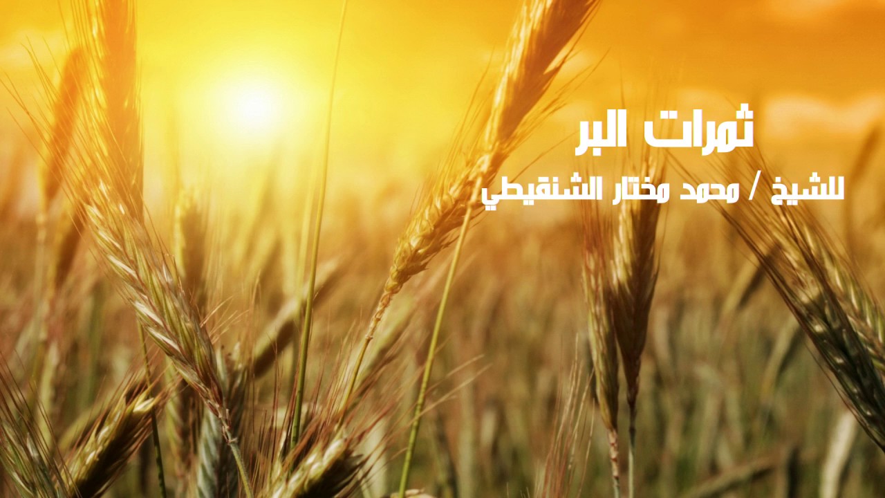 ثمرات البر | الشيخ محمد مختار الشنقيطي