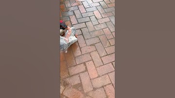 Genius Security Tool in America! 🚨 #shorts (@anchorsecuritybollards)