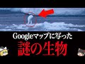 【ゆっくり解説】衝撃の正体。Goolgeマップに写った「南極のニンゲン」