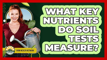 What Key Nutrients Do Soil Tests Measure?