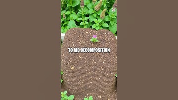 Create Your Own Composting Toilet for Eco-Friendly Living