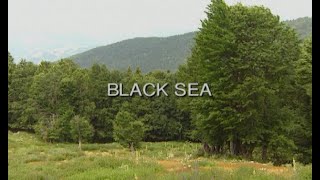 I Dream Of Turkey. Black Sea