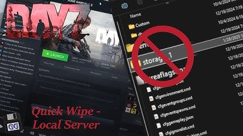Quick Wipe your Local DayZ Server (LAN)