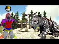 I Tamed a ShadowCat That Can Invisable | Ark Caballus| Ep19