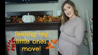TWIN PREGNANCY UPDATE WEEKS 13 & 14