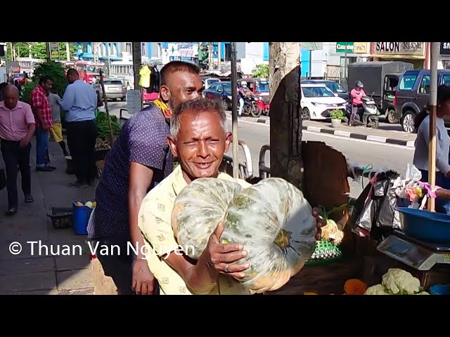 Sri Lanka || Daily life in Dehiwala class=