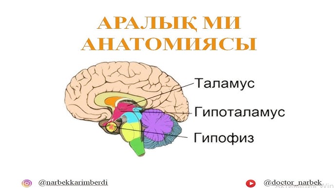Смотреть орыс порно видео онлайн Super Cum онлайн көру
