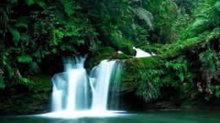 71- سورة نوح - بصوت القارئ/ محمد عبد الكريم - رواية ورش عن نافع