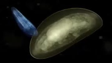 How the Male and Female Sexes were Formed | BBC Studios