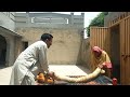 daily work routine village life Punjab Pakistan