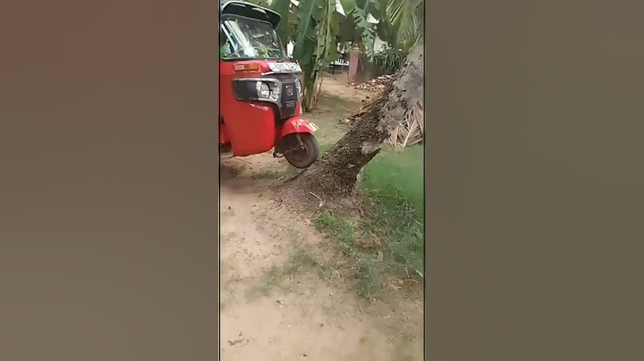 මෙන්න ත්‍රීවිල් එකක් ගස් නගිනවා...