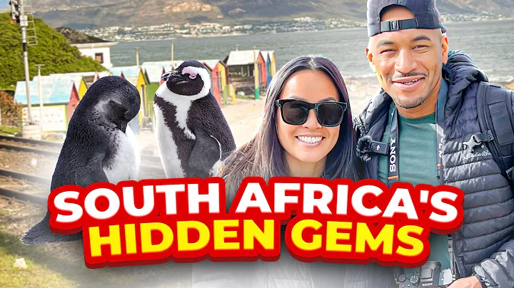 South Africa's Hidden Gems: Boulders Beach, Old Cape Point Lighthouse & Cape of Good Hope