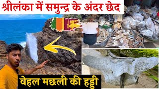 श्रीलंका में समुद्र के अंदर छेद ! वेहल मछली की हड्डी ! Boat Factory