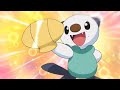 Pokemon oshawott amvsomeone to you