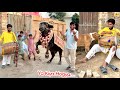 Finally Pet House Mian Qurbani Ka Janwar Ly Aye Lykin Masla Hogya 💔
