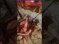 Wo Long Has Beautiful Animations - PS5 #shorts #shortsvideo #wolongfallendynasty