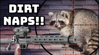 The Best Raccoon Hunting Footage!