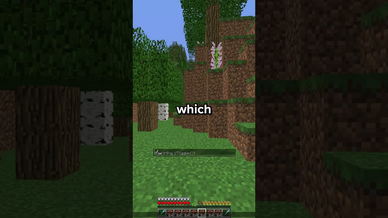 I WAS TRYING TO RAID BASES! #shorts #minecraft