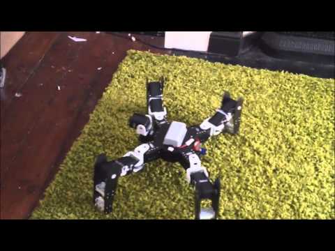 QP3PI - QuadruPet 3 meets Raspberry PI
