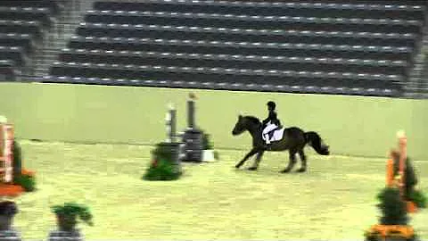 Video of NORTHWIND'S OPUS ridden by NICOLE KEHRLI ...
