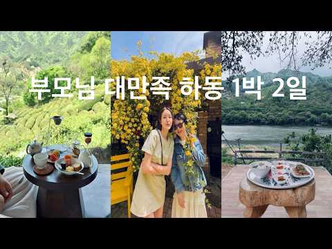 [🇰🇷하동여행] 부모님 대만족 1박 2일 30만원 코스 이대로만 가세요 (맛집, 카페, 숙소, 일정표, 국내반값여행 정보 )