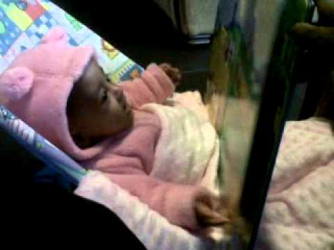 1.5 kg premature baby