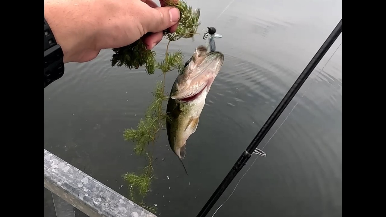 bass fishing at a public Lake