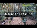 山菜を植えようとしたら裏山でとんでもないものを見つけてしまいました