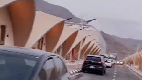 PERBANDINGAN PELAYANAN DI ARMUSNA ANTA HAJI PLUS & REGULER 2025