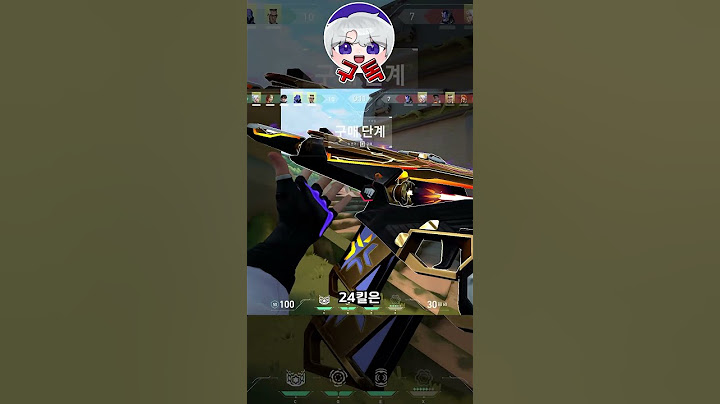 【발로란트】24년 챔피언스 스킨이 ㄸ인 이유