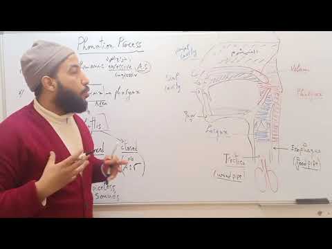  3 علم الصوتيات