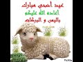Happy Sallah 6