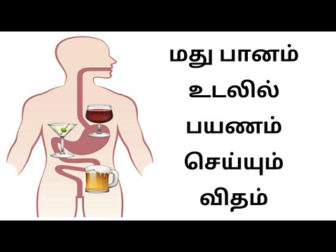 How Alcohol Affect The Body ? | Tamil