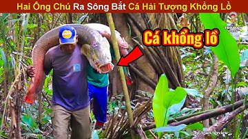 2 Anh Bạn Già Rủ Nhau Ra Sông Amazon Bắt Cá Hải Tượng Khổng Lồ | Review Giải Trí Đời Sống