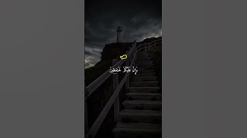 القارئ ماهر المعيقلي | اكتب شيء تؤجر عليه ❤😴