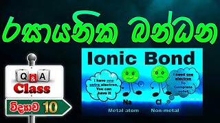 📑විභාගෙට එන්නේ මේවගේ ප්‍රශ්න📑| Grade 11 Science | Grade 10 Science|10 විද්‍යාව|11 විද්‍යාව