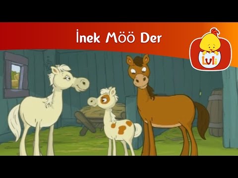 İnek Möö Der- At, Luli TV