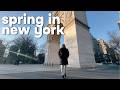 COMEÇOU A PRIMAVERA: café no Dunkin, Village, Upper East Side...