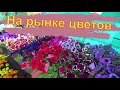 Я на рынке цветов.