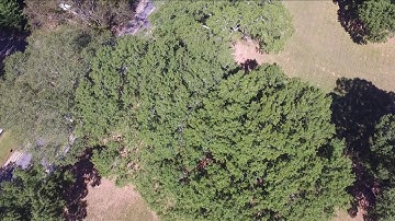 Crashed my Phantom 3! Litchi or Pilot error?