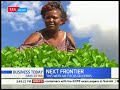 Kenya is a key source market for herbs | THE NEXT FRONTIER