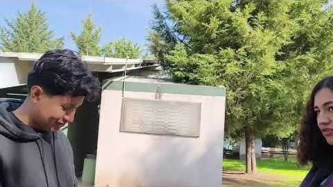 4) dialigo   engineer